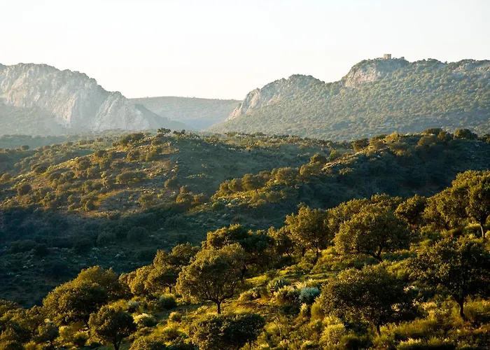 Casa Babel MonfragüeCasa Rural